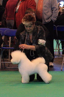 2010.jpg