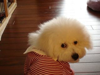 DSC00189.JPG