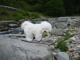 DSC00589.JPG