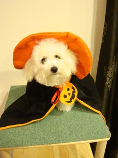 DSC00913.JPG