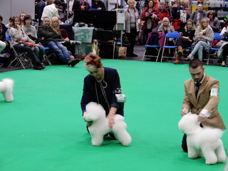 DSCN0201.JPG