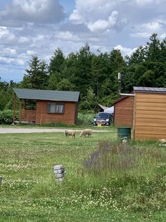 IMG_0411.jpg