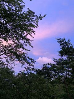 IMG_0496.jpg