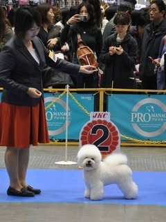 IMG_1871-thumbnail2.jpg