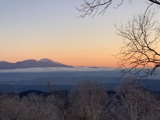 IMG_2185.jpg