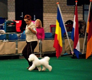 IMG_2462.JPG