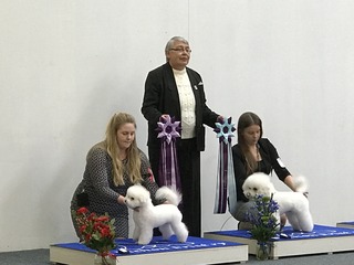 IMG_5482.jpg