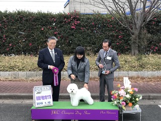 IMG_8875.JPG