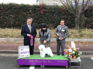 IMG_8879.JPG