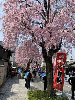 IMG_9699.jpg