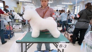 IMG_9732.JPG
