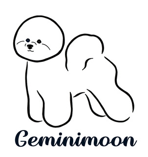 geminimoon-JPG.jpg