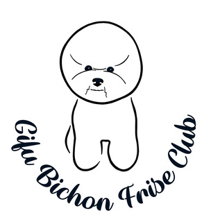 gifu-bichon-club-JPG.jpg