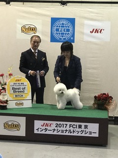 image1.jpeg