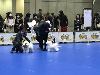 image2.jpeg